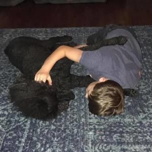 Meet your Posher, Jeff